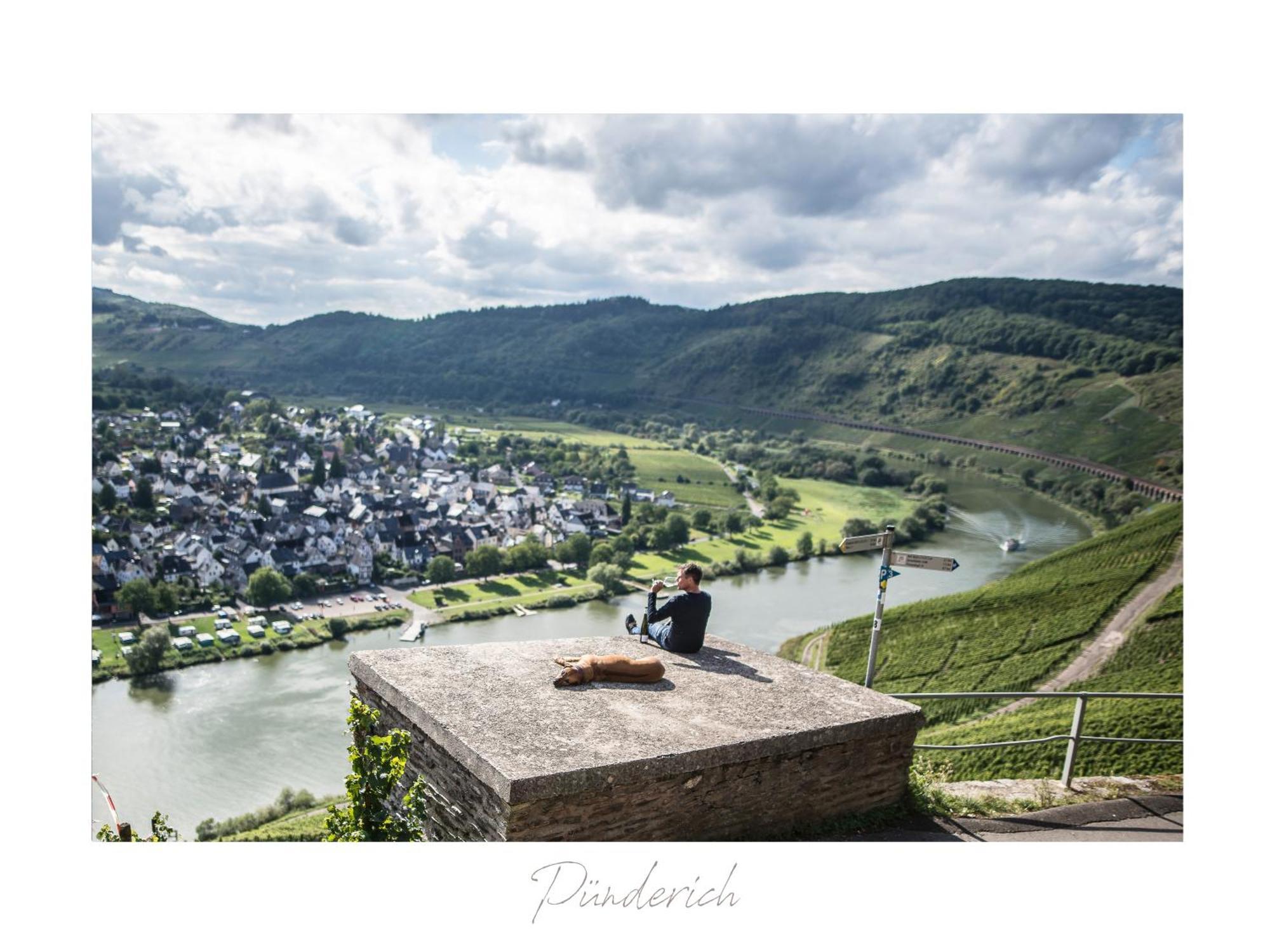 Ferienweingut Luetz Apartment Pünderich Екстериор снимка